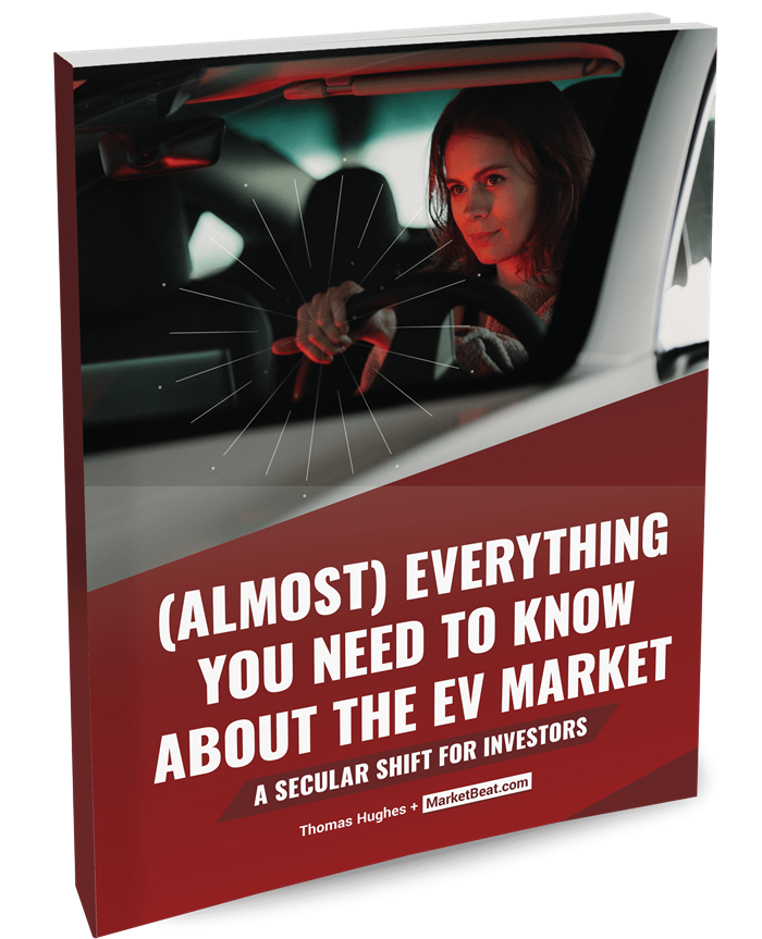 (Almost) Everything You Need To Know About The EV Market Cover